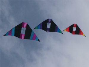 Gomberg Delta Conyne kite – Jim's Kites